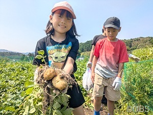 玉ねぎとジャガイモの収穫！！