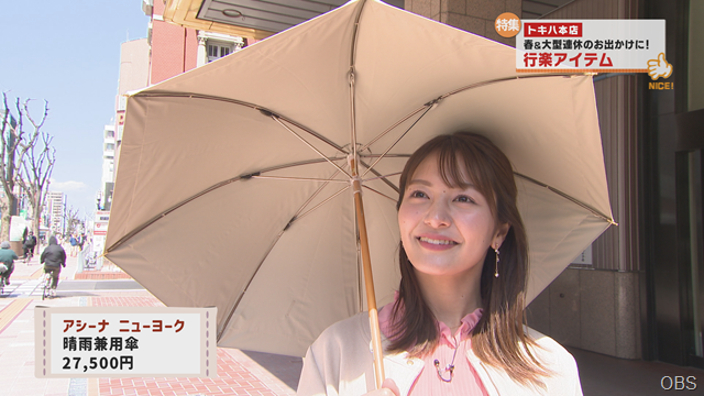 行楽アイテム (2)