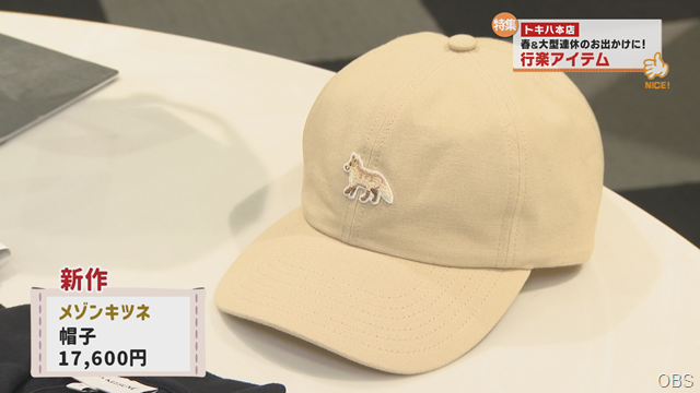 行楽アイテム (6)