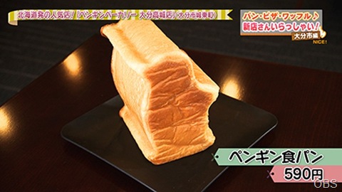 NC0409-02