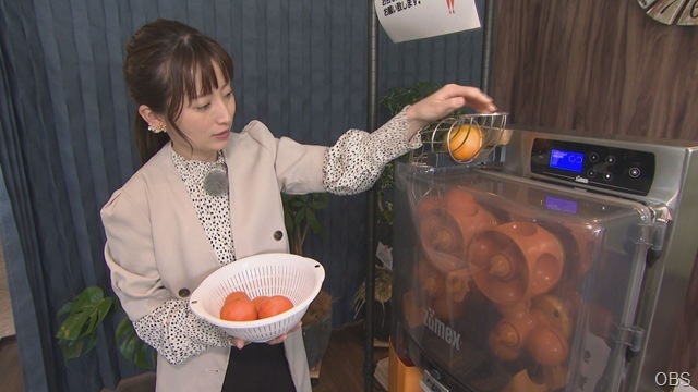 ドコいこ津久見③