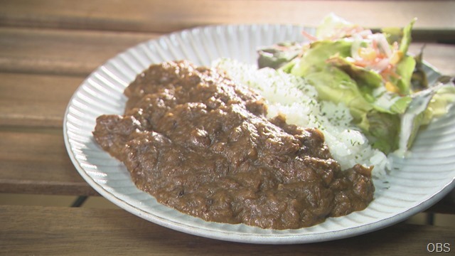 俺たちのカレー部