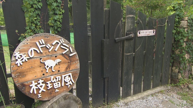 画像①00000000 (3)