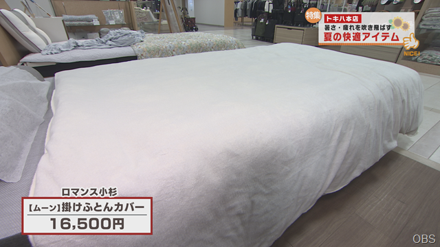 夏の快適 (10)