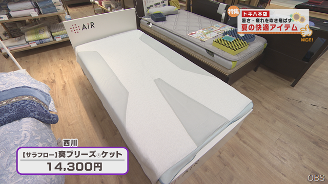 夏の快適 (7)