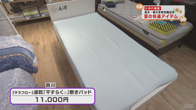 夏の快適 (8)