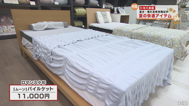 夏の快適 (9)