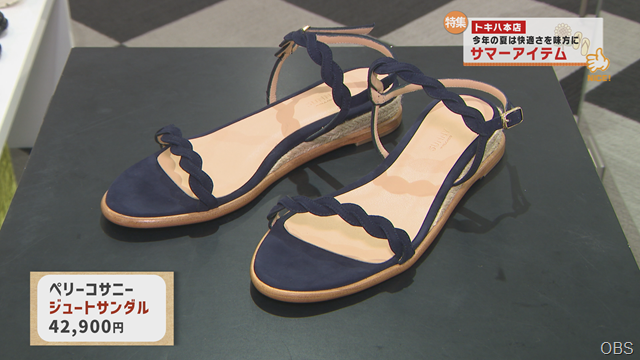 夏アイテム (6)