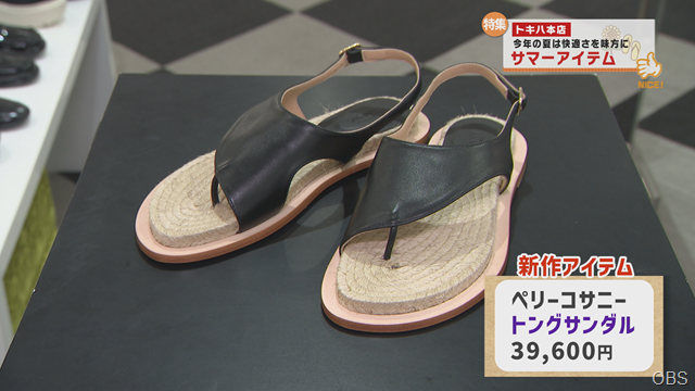 夏アイテム (7)