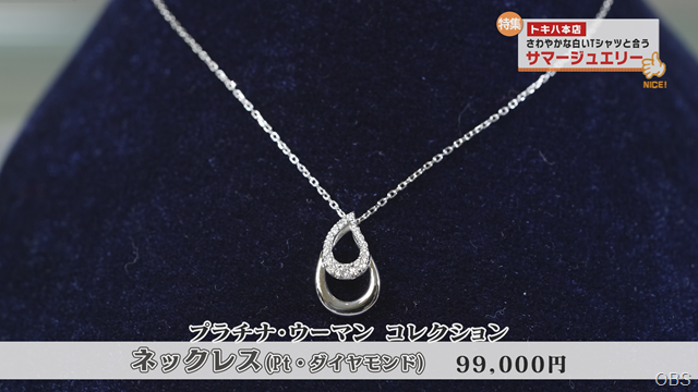 ジュエリー (2)
