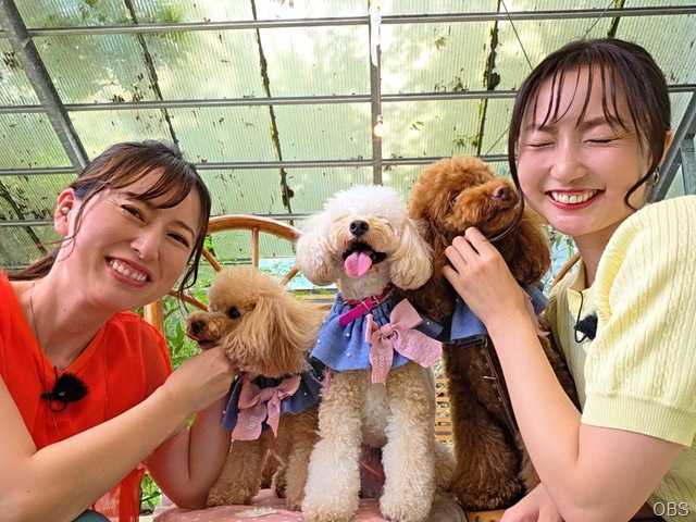 ９月６日（土）かぼすタイムは・・・
