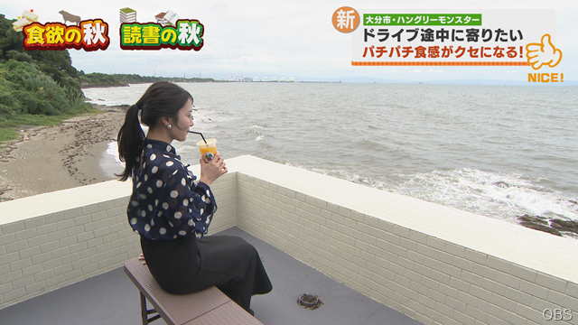 ハングリーモンスター (2)