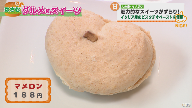 マメポワ (3)