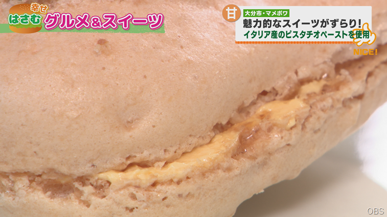マメポワ (6)