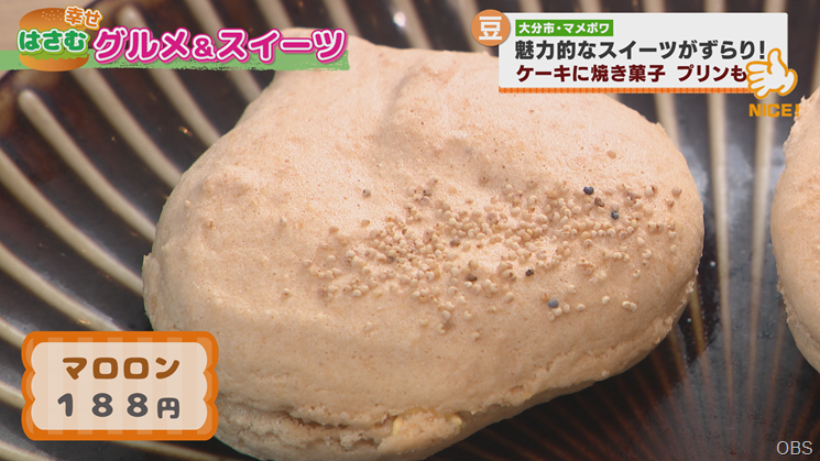 マメポワ (7)