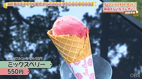 NC1008-06