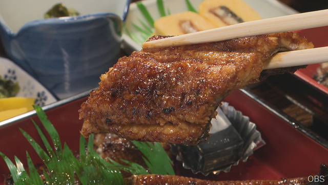 うなぎ (3) うなぎ (3)