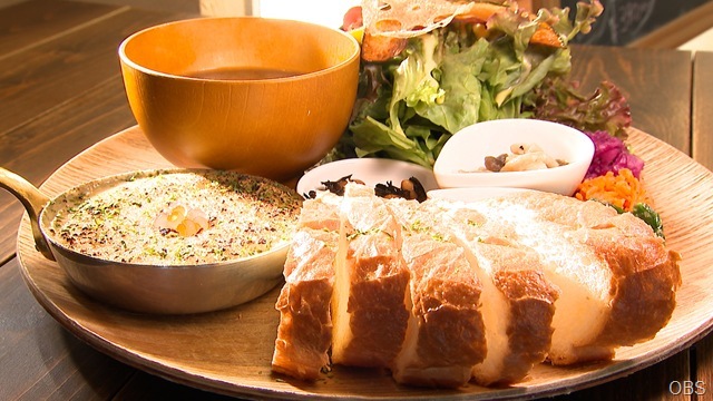 1115ワン_HP_yumekaze_02