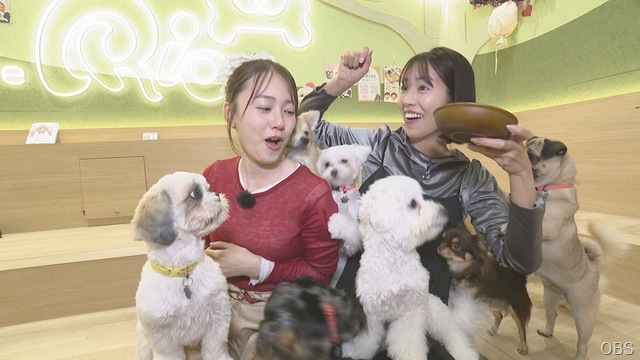 １１月２２日（土）かぼすタイムは・・・