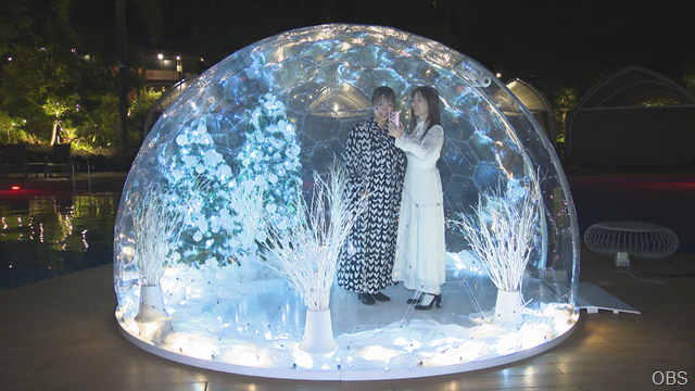 1206かぼす　4分割　左下