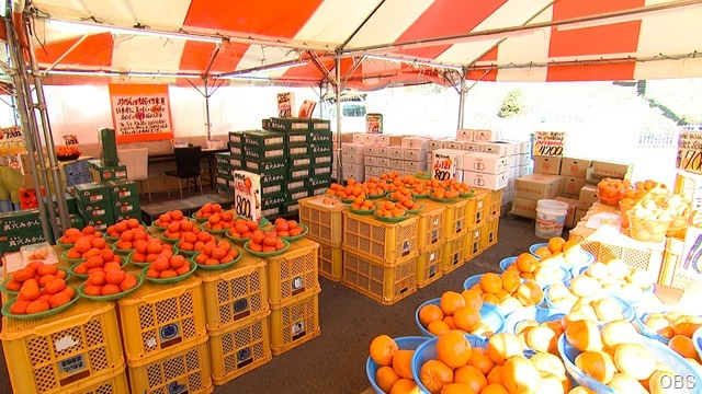 0131ドコHP_幸青果01