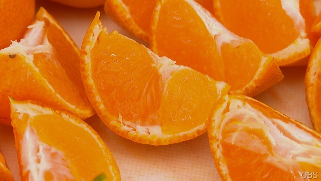 0131ドコHP_幸青果02