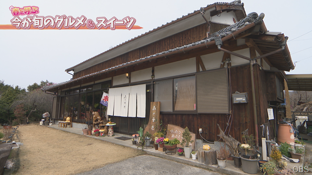 森の音色 (1) 森の音色 (1)