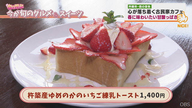 森の音色 (2) 森の音色 (2)