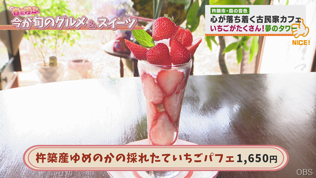 春を呼ぶ 今が旬のグルメ＆スイーツ