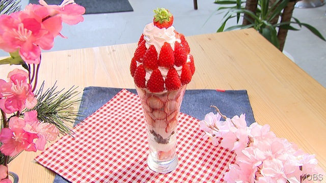 0221_berry_HPシェリストレージカフェ02 0221_berry_HPシェリストレージカフェ02