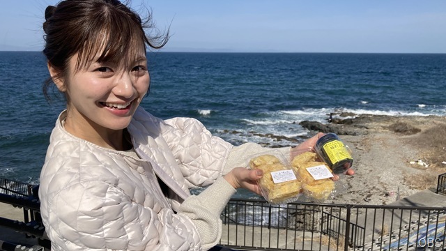 ナイスな道の駅【道の駅さがのせき】