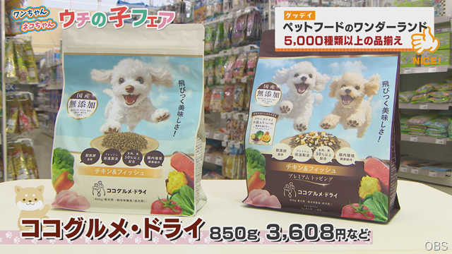 グッデイ (1) グッデイ (1)