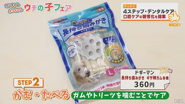 グッデイ (11) グッデイ (11)