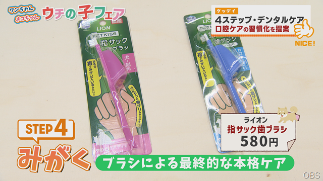 グッデイ (13) グッデイ (13)