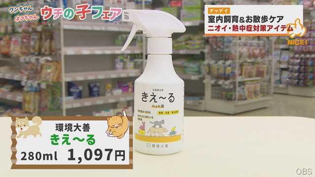 グッデイ (15) グッデイ (15)