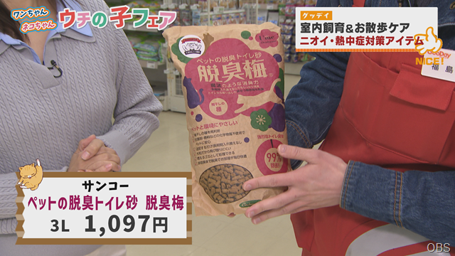 グッデイ (17) グッデイ (17)