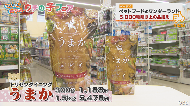 グッデイ (2) グッデイ (2)