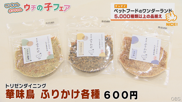 グッデイ (3) グッデイ (3)