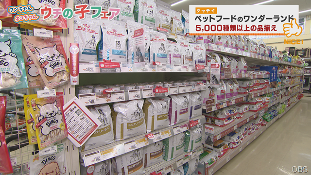 グッデイ (5) グッデイ (5)