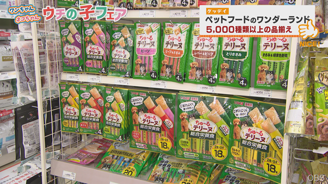 グッデイ (6) グッデイ (6)