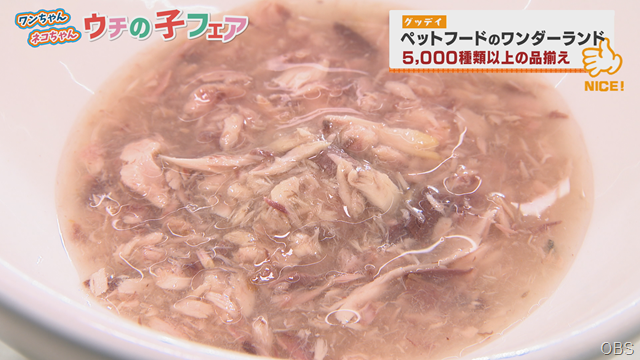 グッデイ (8) グッデイ (8)