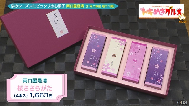 行楽の春到来！トラベルアイテム