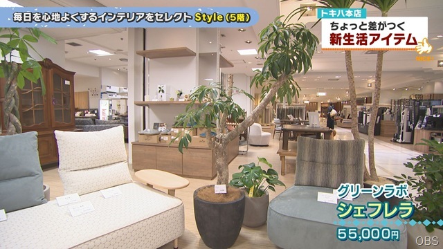 0327画像 (1) 0327画像 (1)