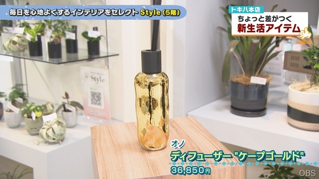 0327画像 (2) 0327画像 (2)