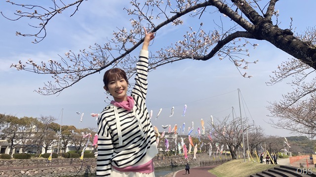 桜中継 in 平和市民公園