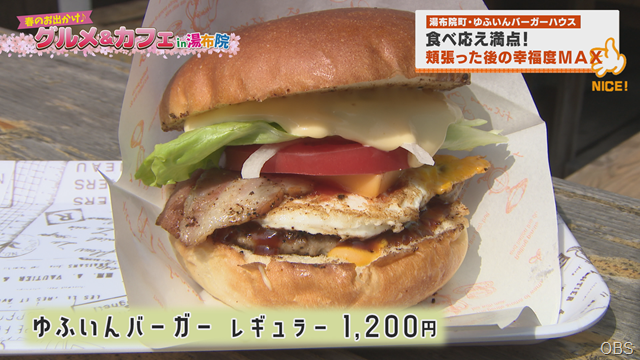 バーガー (2)