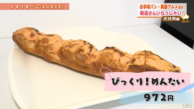しまうま３
