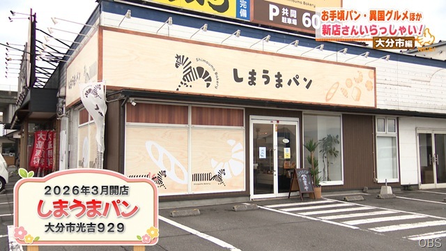 しまうま