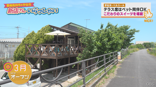 ベルスール (1)