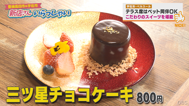 ベルスール (2)